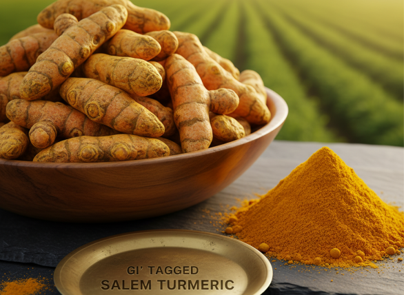 Gemini Generated Image G1zce1g1zce1g1zc Rdnlsblb26rtbxsq0wh9emt244iqy3hojm4aajf2uw