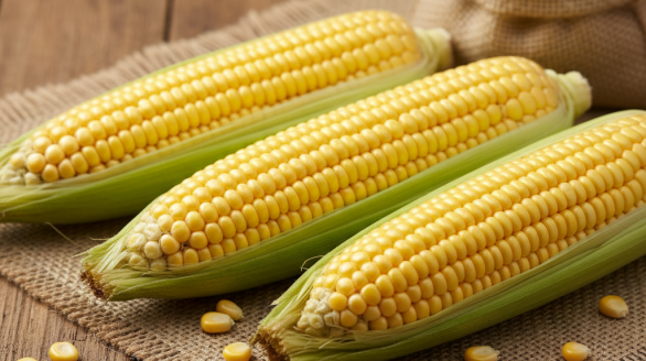 Gemini Generated Image Gdzdzkgdzdzkgdzd Rcuoe1kyj3e4ov6dky5ovkga9cvnk0piiharfi3mmo